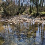 Xerrada: "Aigua i medi a l’Alta Tordera"